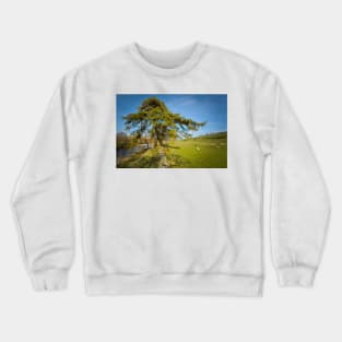 The River Swale Crewneck Sweatshirt